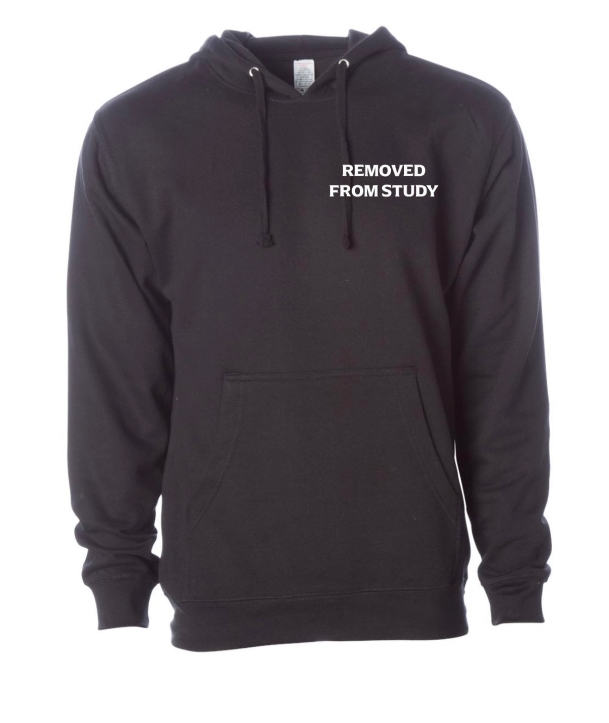 Removed From Study Wolf Hoodie